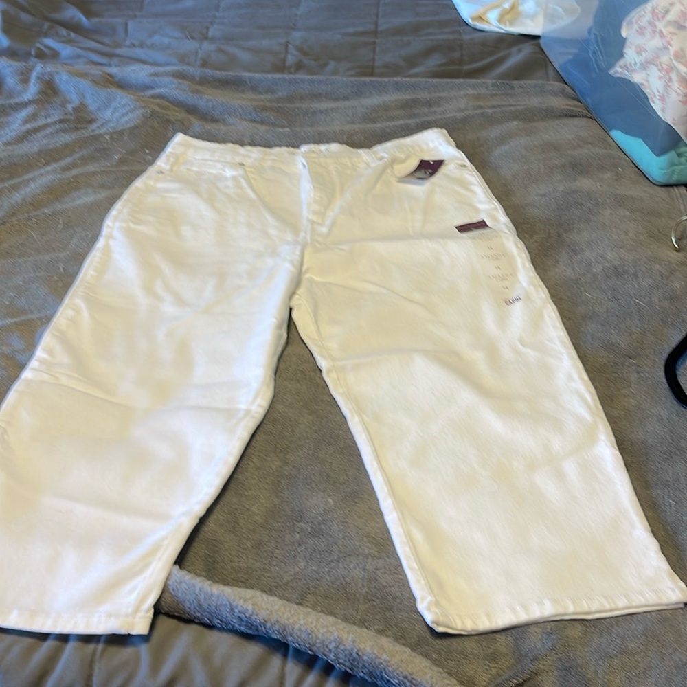 NWT Gloria Vanderbilt Amanda Capri